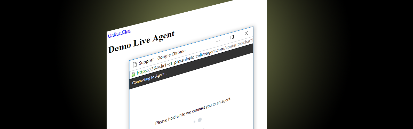 Salesforce.com : Live Agent for Business (Part 2)